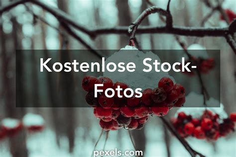 bilder kostenlos|Faszinierende, kostenlose Bilder und Fotos 